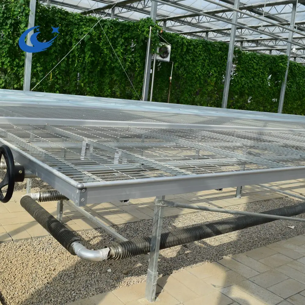 Aluminum Alloy Frame metal greenhouse rolling benches for Agricultural Greenhouse
