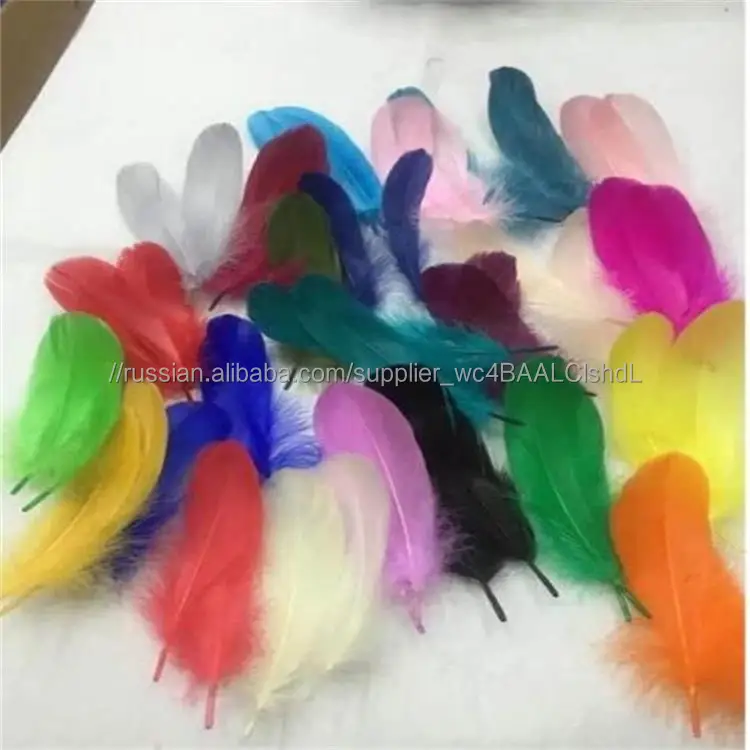 Декоративная многоцветная 13 см гусиное перо для продажи