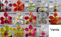 White High Quality 4 Heads Phalaenopsis Real Touch Artificial Butterfly Orchid Flower  Latex Orchid For Wedding