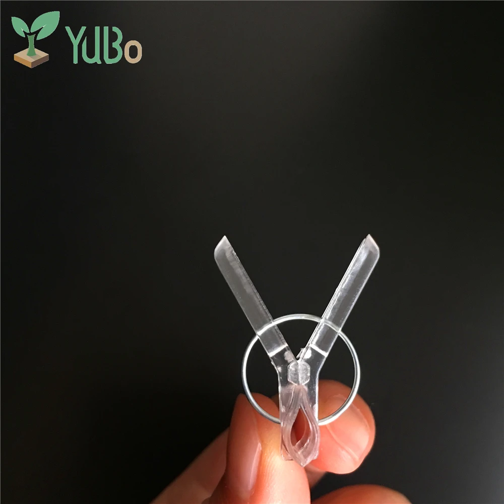 Прозрачные Пружинные зажимы для прививки манго, пластиковые зажимы для прививки баклажанов