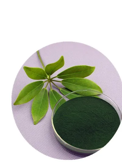 
bulk superfood producers natrual organic spirulina powder 