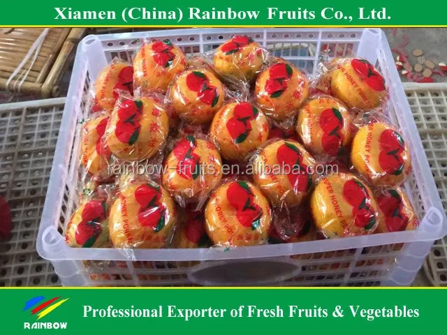 Chinese Fresh sweet Lokam Lokan Mandarin