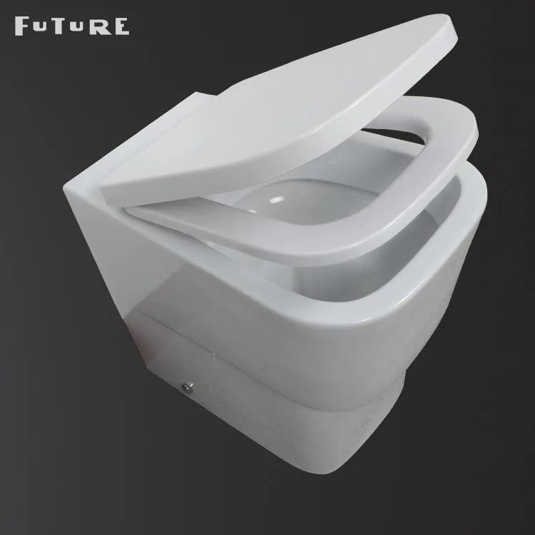 
Child Closet Kid From China Sanitary Ware Bowl Cheap Two Piece Back To Wall Ceramic Toilet 