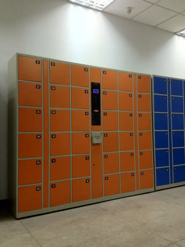 Customized Automatic Pin Code Luggage Electronic Out Door Smart Parcel Locker