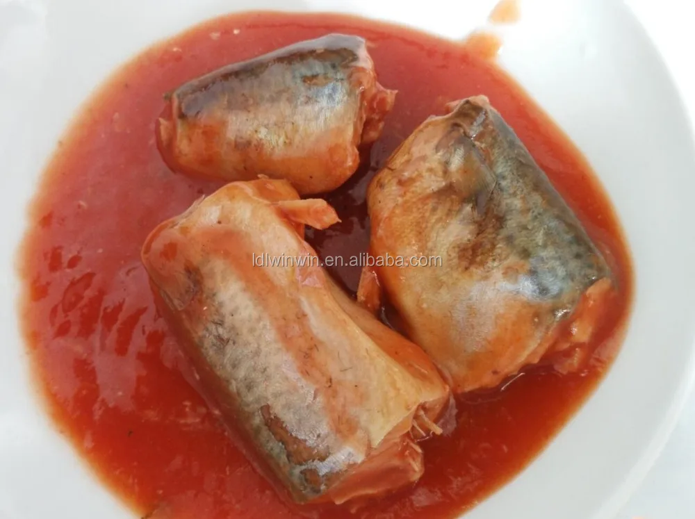 
Canned mackerel in tomato sauce canned fishes 