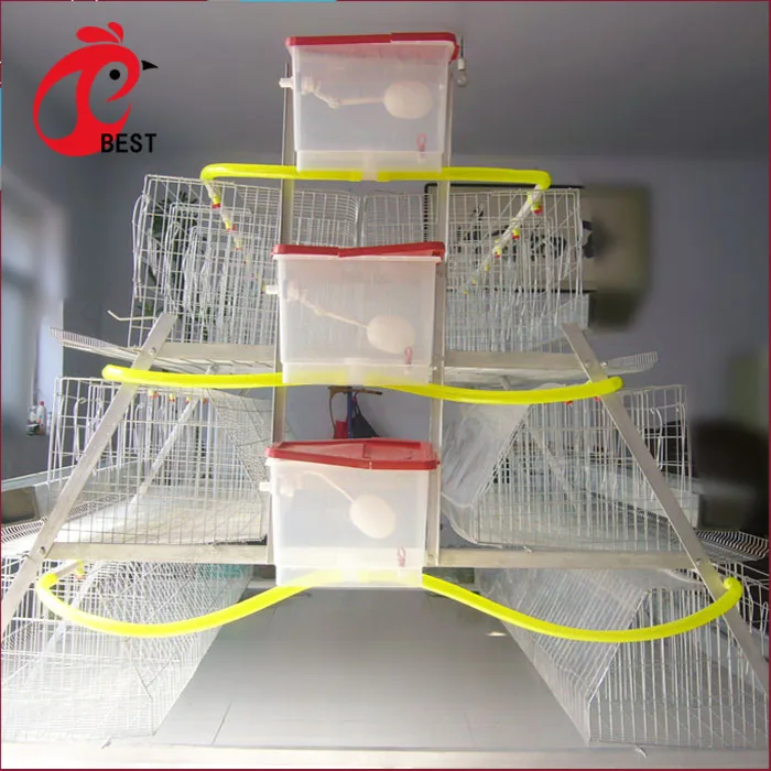 Professional house system chicken cutlet machine layer cage kenya for wholesales