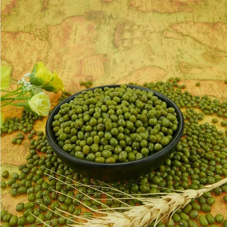 Chinese Organic Spouted Green Mung Beans