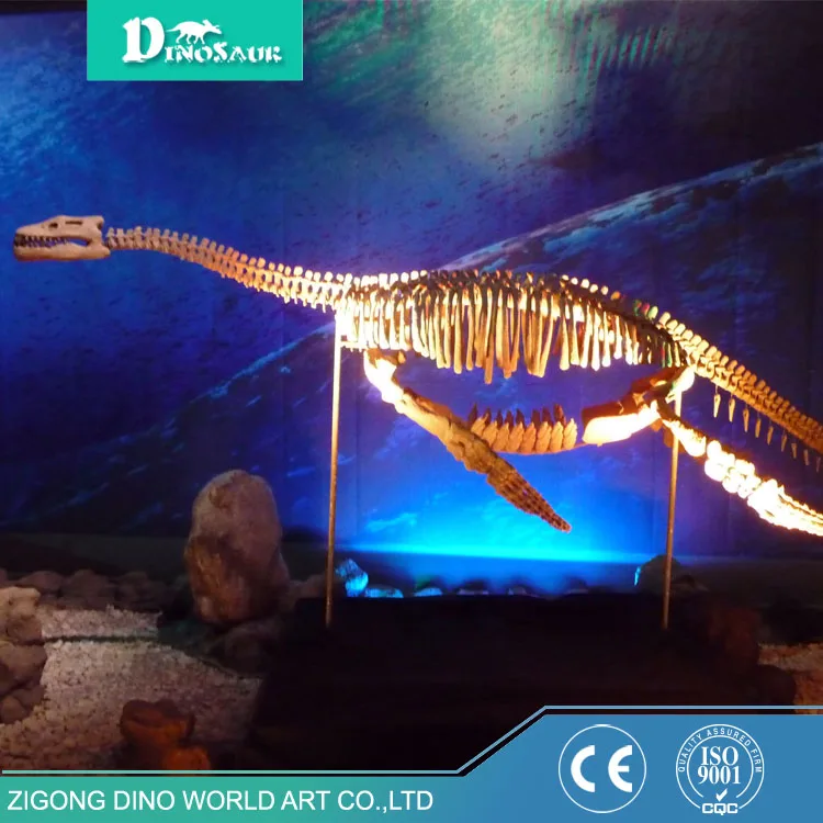 History Exhibits Museum Standard Dinosaur Egg Fossil