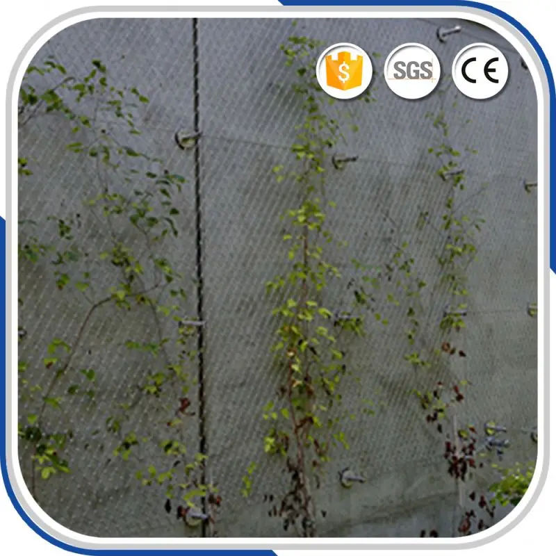 Anping Гексагональной Зеленая Стена Забор Сетка На Alibaba