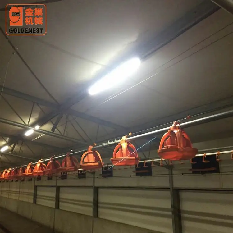 Nice Quality and Good Price Poultry Farm Equipment Led Lamp Tube