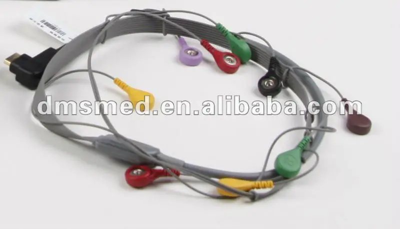 DMS ECG Holter For Heart Electrocardiogram 12 Lead 10 Electrodes Wtih CadioScan 12.Net Software