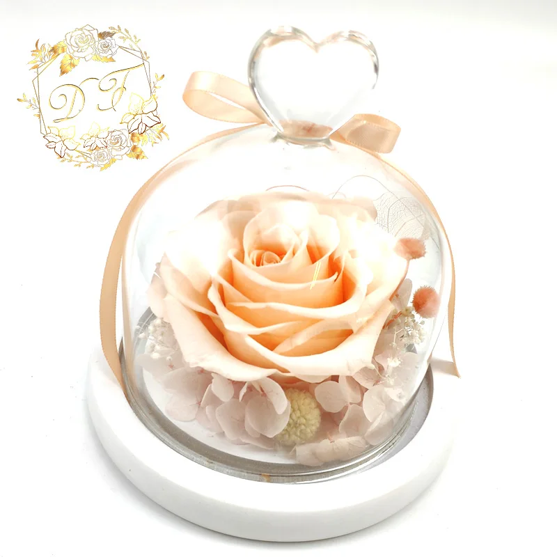 Yunnan Supplier Romantic Preserved Rose Flowers In Small Glass Dome For Girlfriend Gift