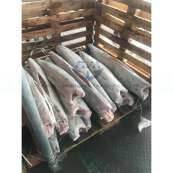 Frozen wahoo HGT 5KG+ (Acanthocybium solandri)