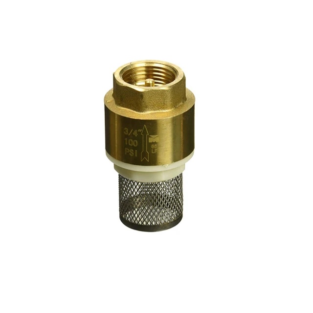 Brass foot valve  metal spring vertical check valve with  filter