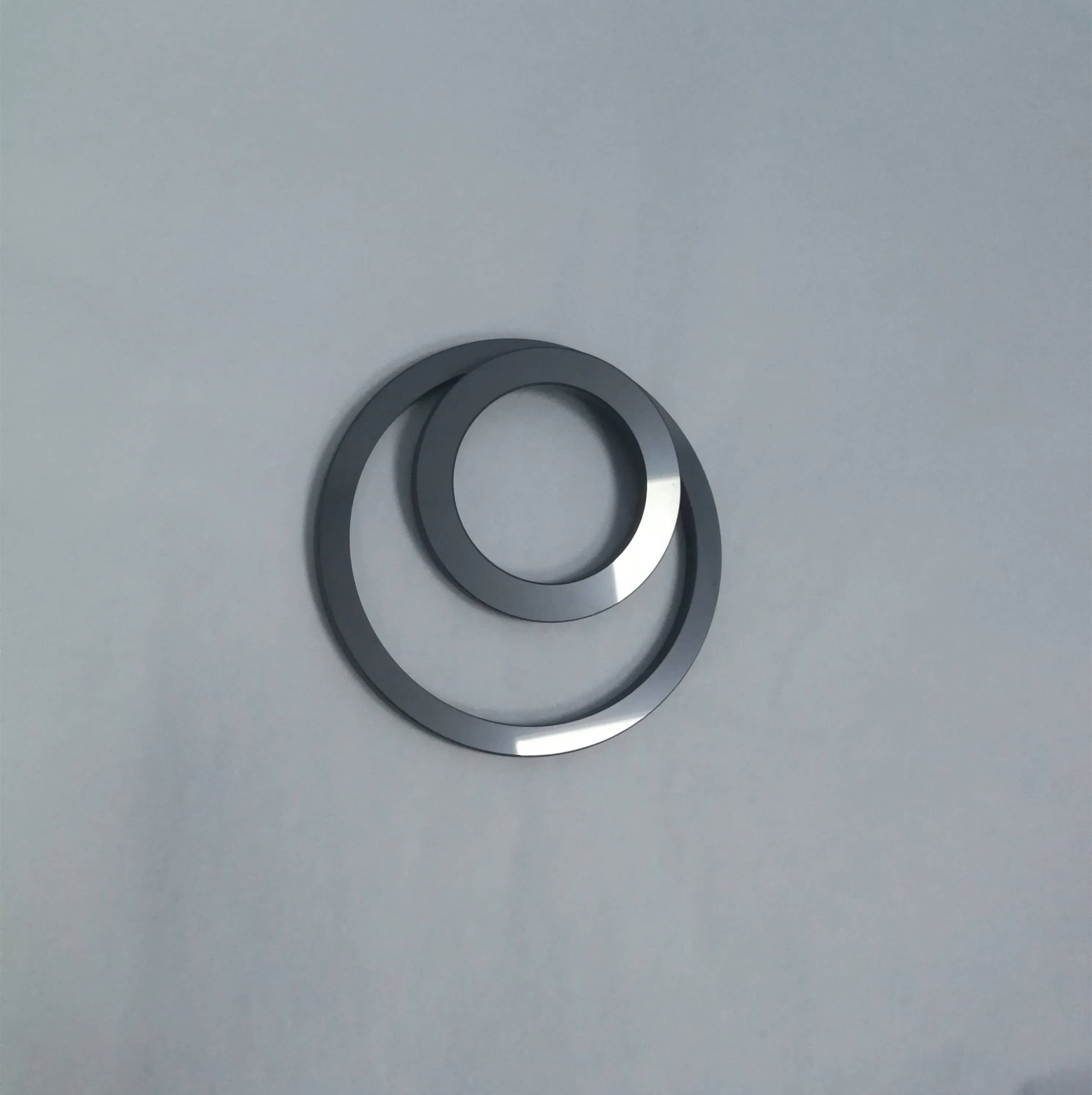sic plain seal ring MG1 G60 polish lapping