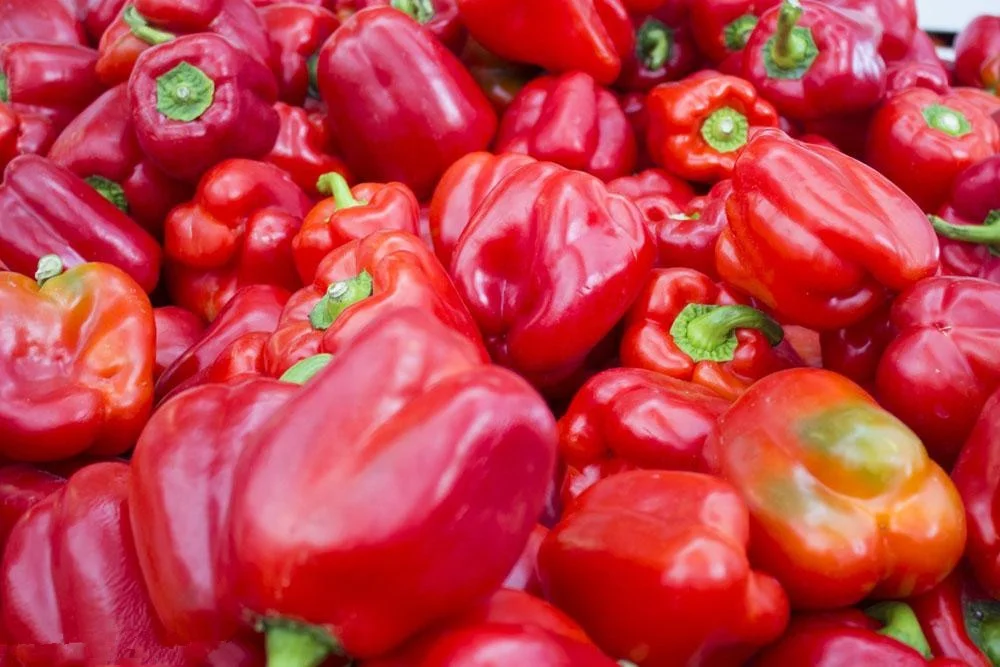 New fresh Frozen peppers with BRC A, HACCP, KOSHER