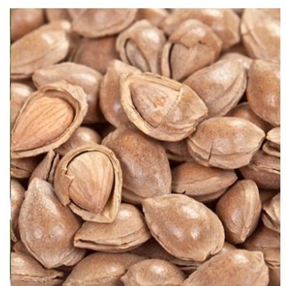 
Fresh Bitter Raw Apricot Seeds 100% Natural 