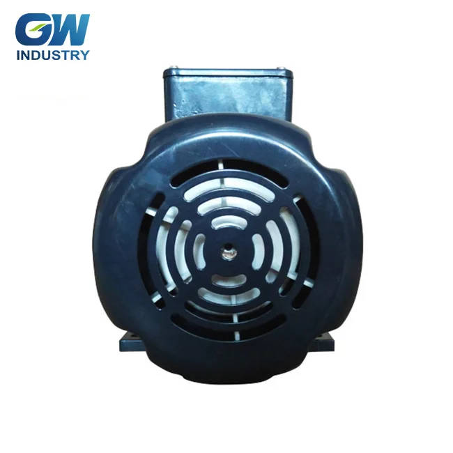 Professional manufacturers to produce single-phase dual capacitor water pump motor
