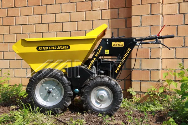 Mini farm tractor Wheel loader with CE and EPA ANT BY250