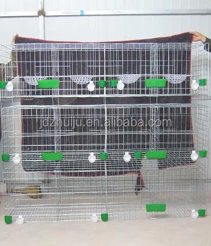 new style racing pigeon cage HJ-PC32