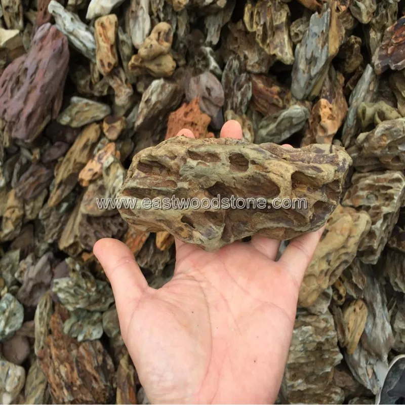 
Natural Aquarium Holey Lace Rock 