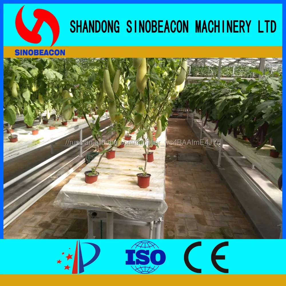 Гидропоники Растущих Систем Для Завода