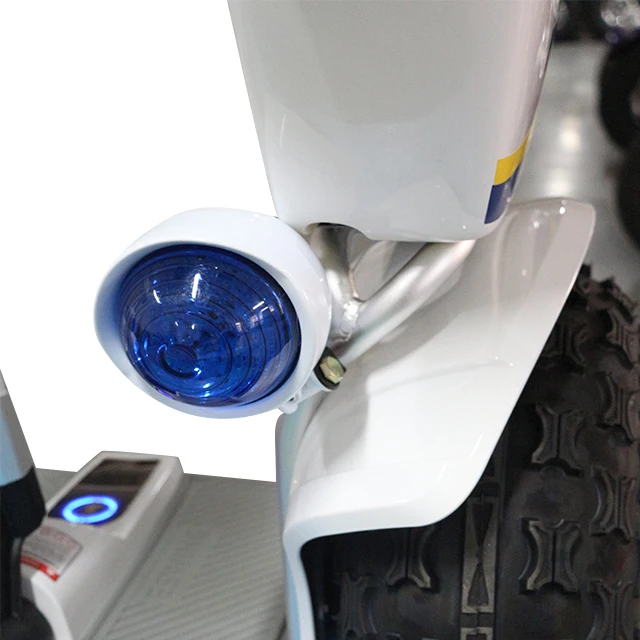 Hot sale 2400W high-power security patrol balance scooter 19 inch scooter rental electric self balancing scooter