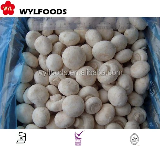 Замороженные грибы, выращивание грибов, цена