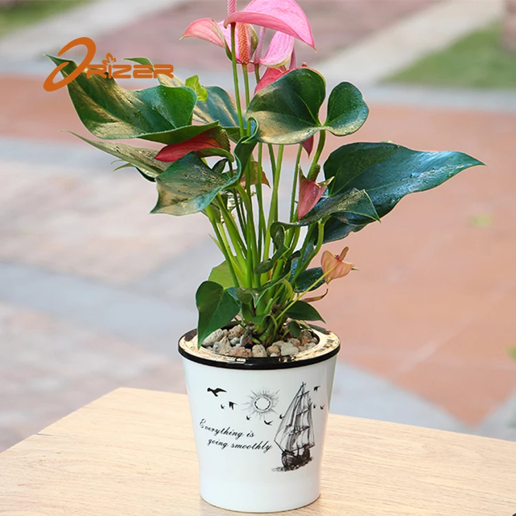 Free sample factory wholesale european style plastic nursery pot ideas garden flower pot