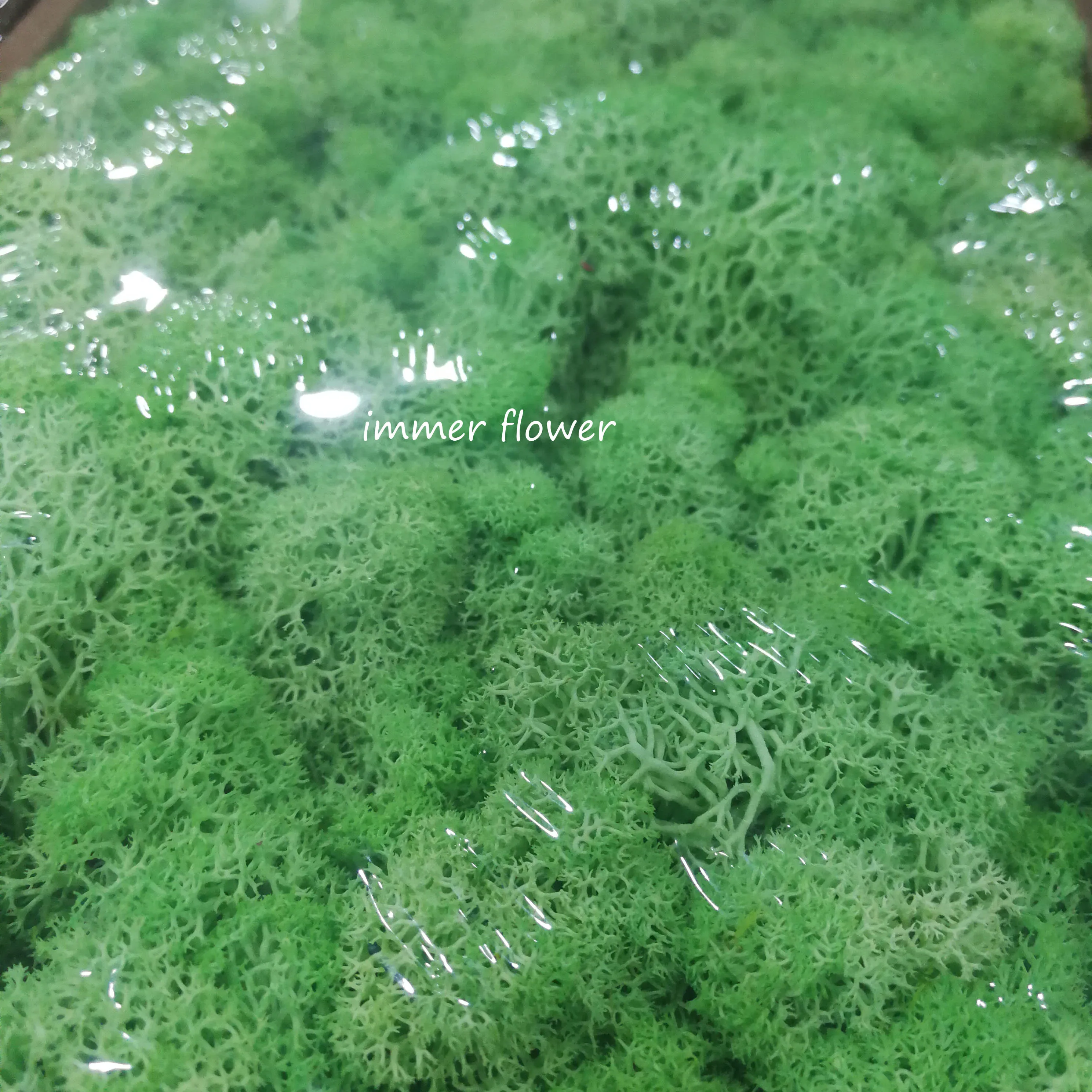 best selling java moss arrangements bouquet flower