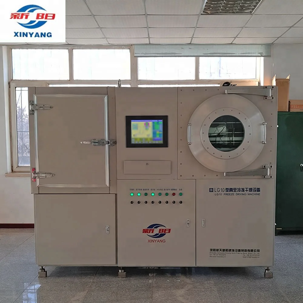 Pilot freeze dryer mini freeze drying machine for research and testing
