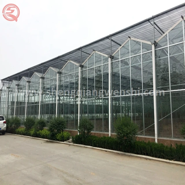 China supplier custom design orchid glass greenhouse