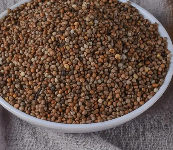 Su zi 100% natural and pure seeds Natural dried Fructus Perillae semen