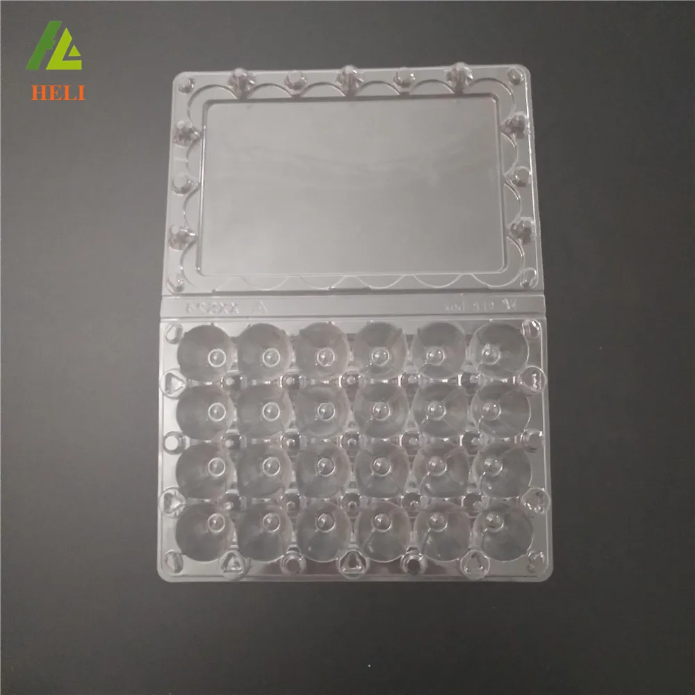 24 Holes Clamshell clear disposable plastic quail egg cartons
