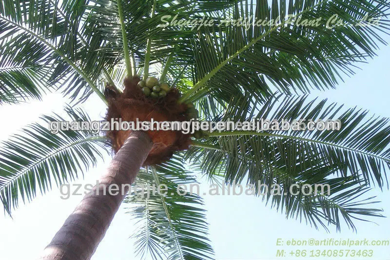 12m искусственные пальмы для использования вне помещений
