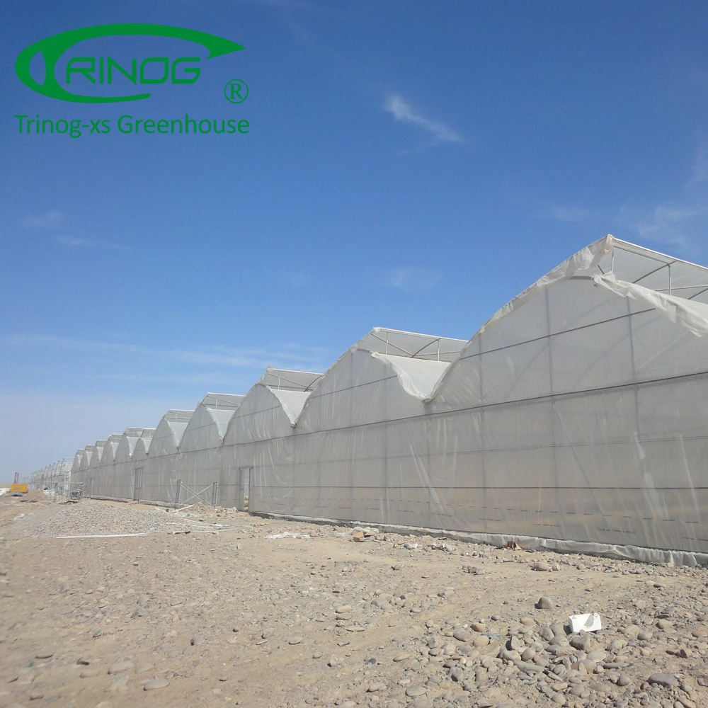 Low cost plastic greenhouse garden used for vegetable