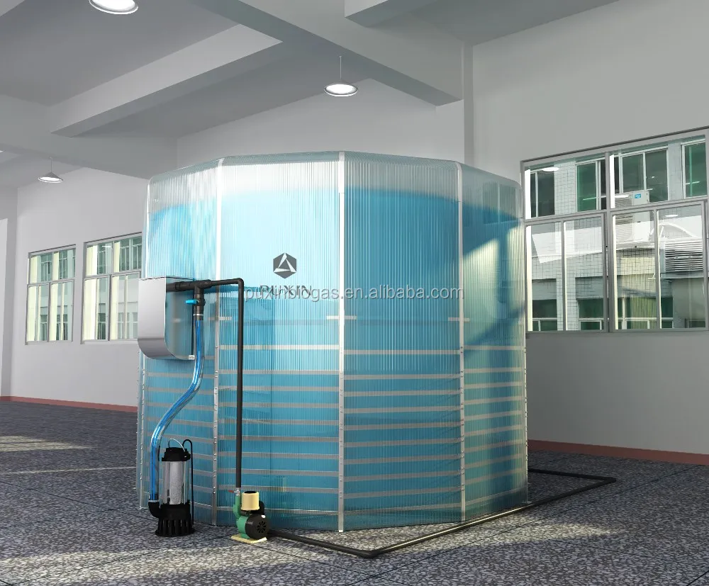 
Hot Sale Domestic Biogas Power Plant to Generate Electricity 