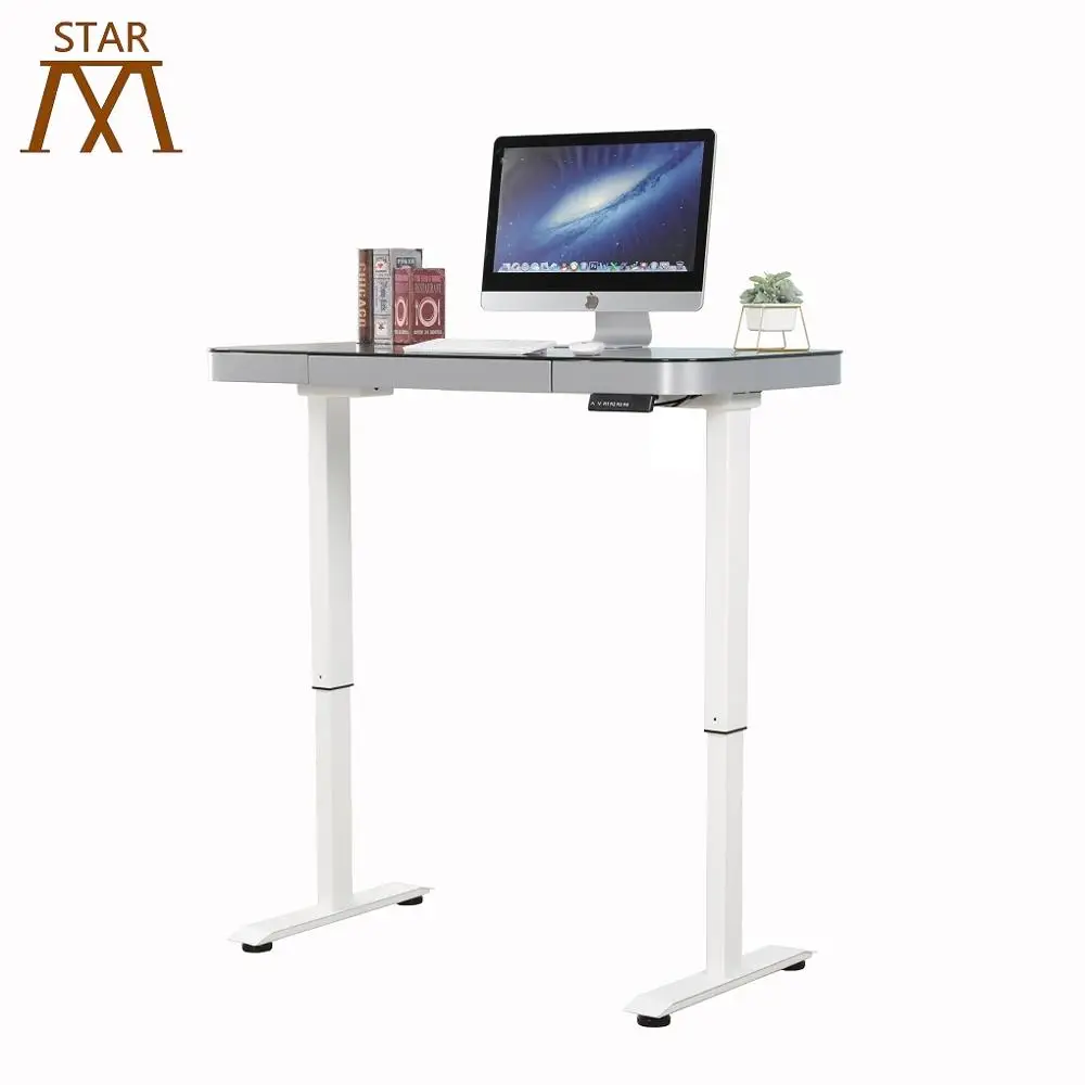 
Germany Dual Motors Intelligent Electric Height Adjustable Standing Desk Two Segments Lifting Column 