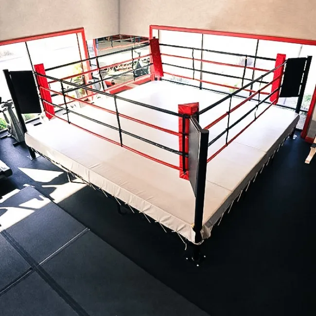 adults sports equipment International IBF standard boxing ring for SALE