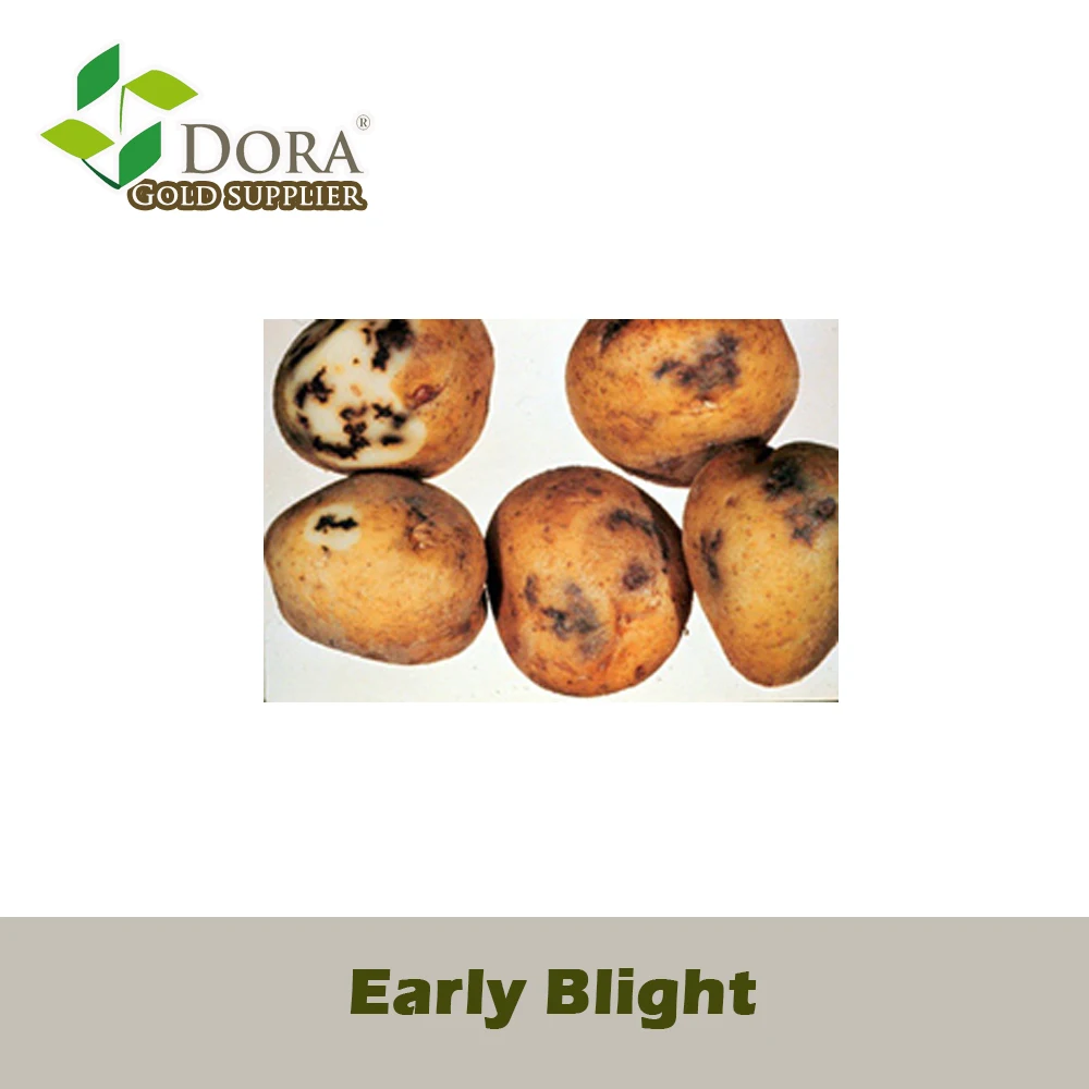 2 billion cfu/g Trichoderma Viride as Mosaic disease, Early blight, Late blight Defender