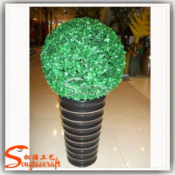 large outdoor bonsai trees a large number of bonsai plant sale home decoration bonsai