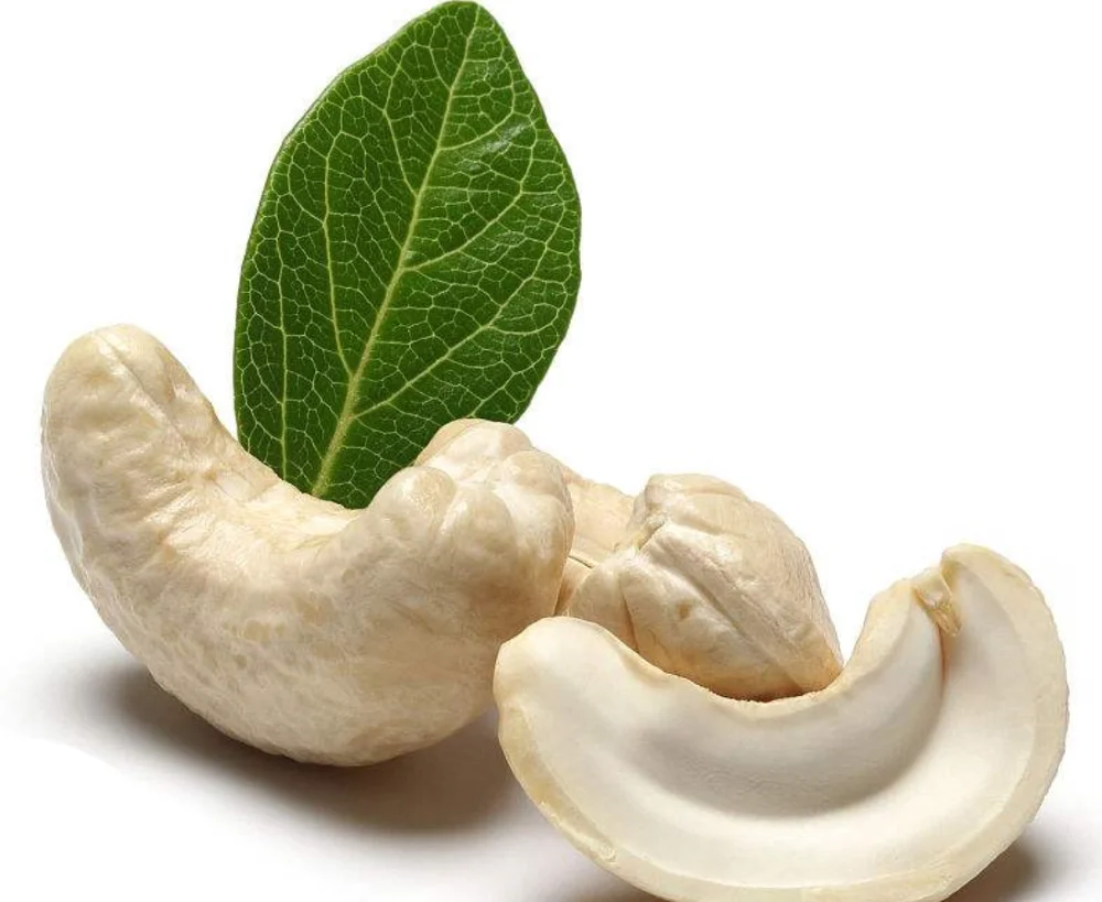 Сушеные сырые орехи кешью в форме почек для еды