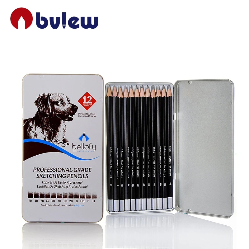 9B, 8B, 7B, 6B, 5B, 4B, 3B, 2B, B, HB, F, H - Precision Artist Graphite Pencils Drawing Kit