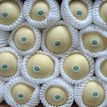 HEXING PE Foam Fruit Net Plastic Extruder