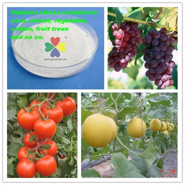 
high content 98%TC 95%TC s-aba / dormin/ abscisic acid 2016 