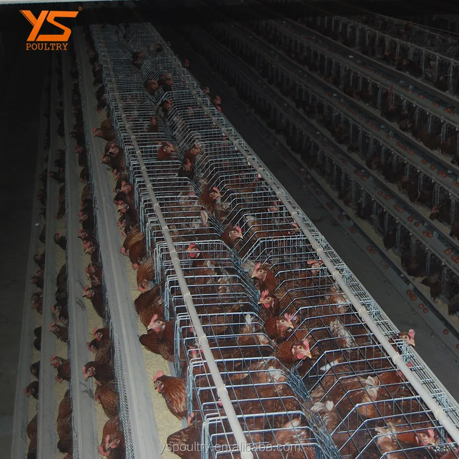 
Chicken Farm Equipment Battery laying hen cage 