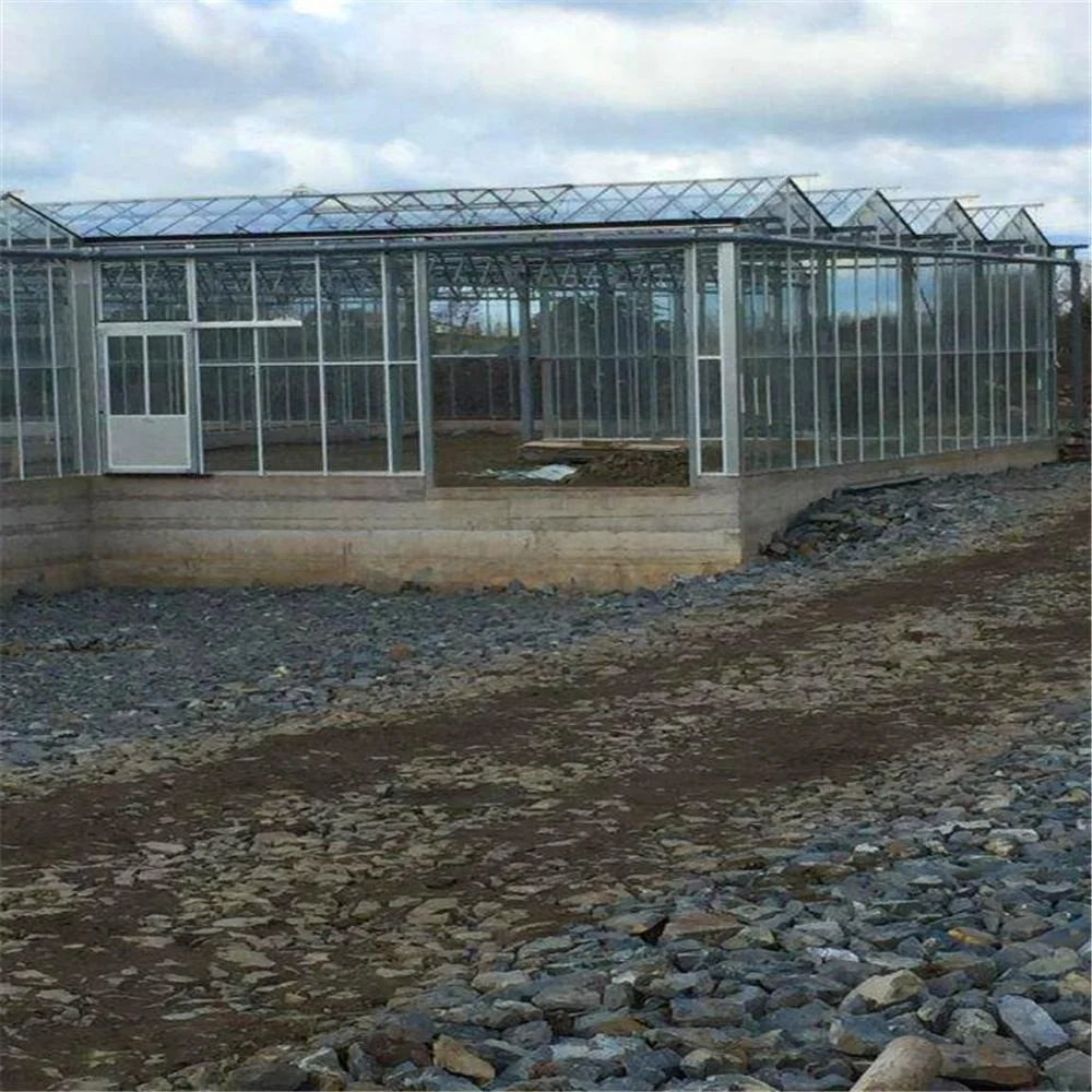 
Natural vents aluminium framing sequoia orchids growing seedling poly tunnel greenhouse steel frame tunnel 
