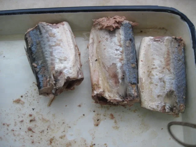 mackerel in brine 1.jpg
