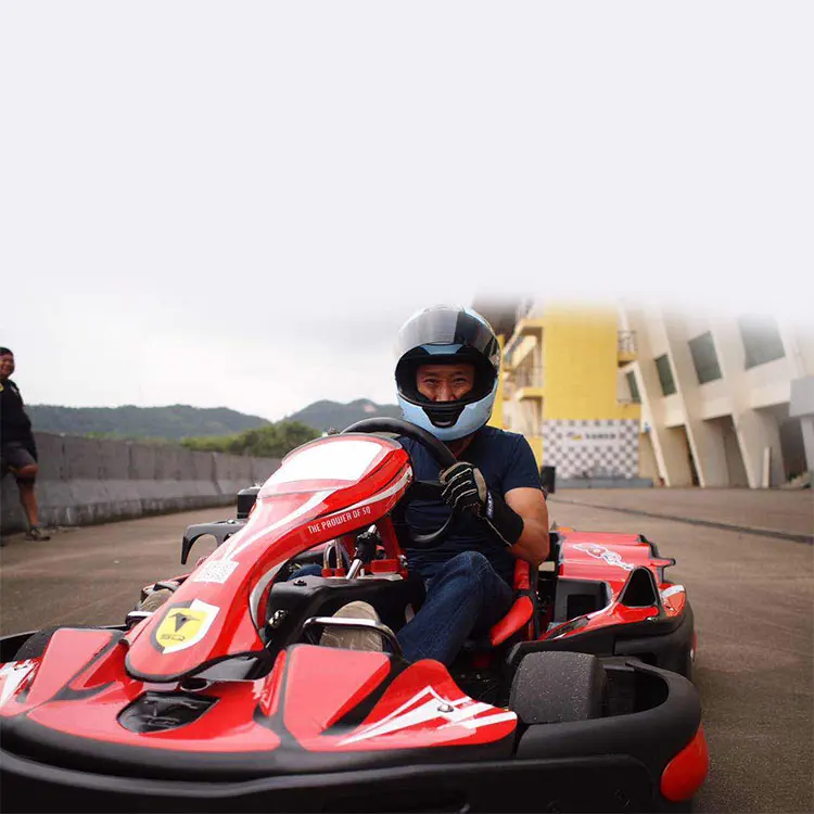 
270cc 4 Stroke High Speed Adult Racing Go Kart/Karting for Sale With Honda Engine 