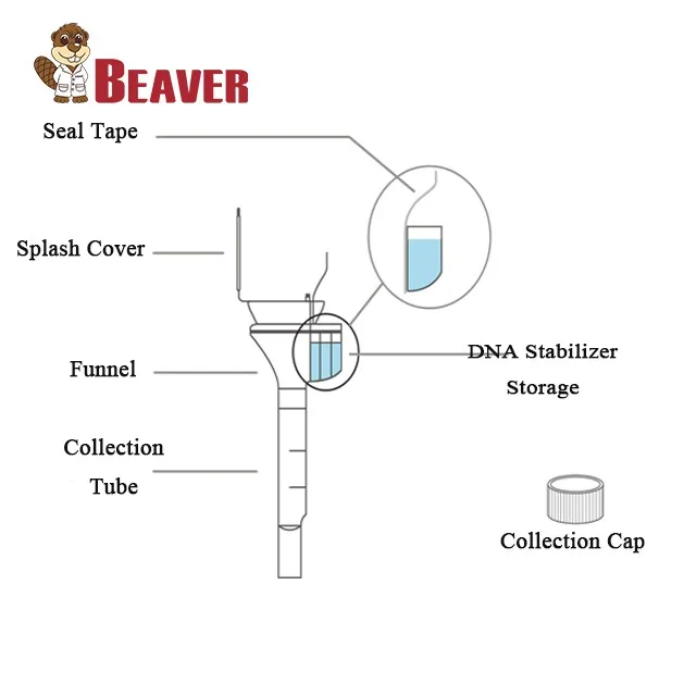 Painless Saliva DNA Genetic Testing Collection Tube